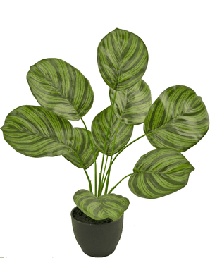 Kunstig Calathea 48 cm i prydpotte sort