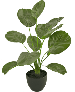 Kunstig Calathea 58 cm grøn i dekorativ potte sort