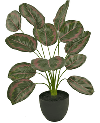 Kunstig Calathea 58 cm grøn/rød i dekorativ potte sort