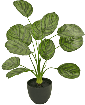 Kunstig Calathea 58 cm mørkegrøn i dekorativ potte sort