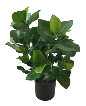 Kunstig plante Clusia 45 cm