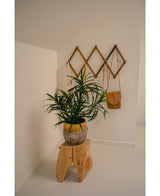 Den kunstige plante Dracaena Reflexa i potte UV 63 cm dekorerer et minimalistisk rum med hvide vægge, placeret på en naturlig træstol. Et vægstativ i træ på bagsiden rummer en lille brun taske og creme stoffer til et tropisk interiør.