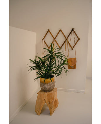Den kunstige plante Dracaena Reflexa i potte UV 63 cm dekorerer et minimalistisk rum med hvide vægge, placeret på en naturlig træstol. Et vægstativ i træ på bagsiden rummer en lille brun taske og creme stoffer til et tropisk interiør.