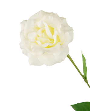 Kunstig Eustoma Real Touch Hvid 72cm