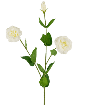 Kunstig Eustoma Real Touch Hvid 72cm