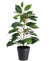 Den kunstige planteficus i potte 40 cm er en høj kunstig plante i en potte med flere grene og store, blanke grønne blade, præsenteret i en simpel sort potte mod en hvid baggrund.