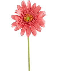 Kunstig Gerbera 53 cm lyserød