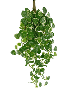 Kunstig vægplante Pumila 50 cm
