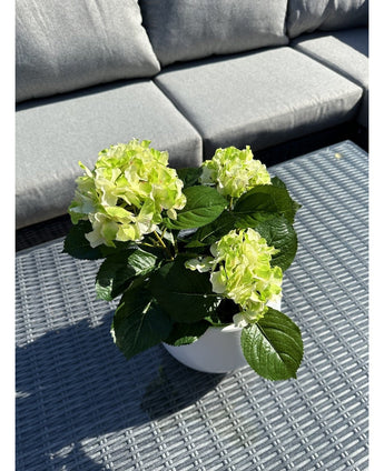 Artificial Hydrangea Green UV 35 cm plante med lysegrønne blomster står på et gråt flet udendørsbord, foran en grå sofa med hynder. Sollys oplyser den kunstige plante og kaster skygger hen over bordet.