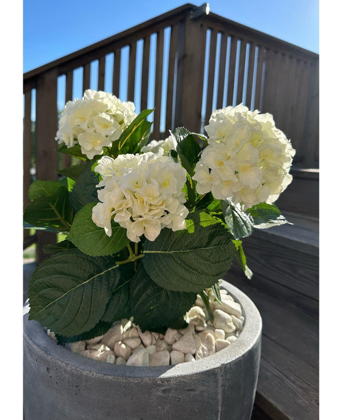 Artificial Hydrangea White UV 35 cm-planten, med hvide blomster og grønne blade, står udenfor på hvide småsten på en solskinsdag med terrasserækværk af træ og en trappe i baggrunden.