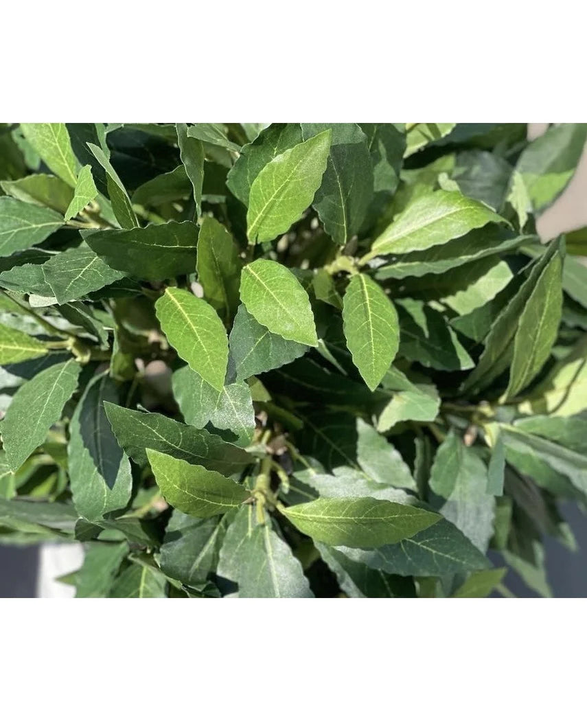 Kunstig plante Laurbær d30 cm UV