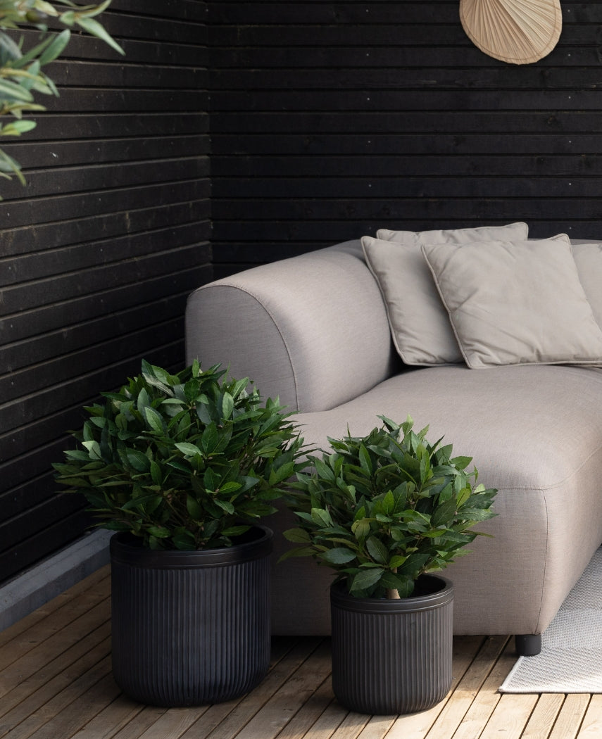 Twee Kunstplant Laurier UV d40 cm potplanten staan op een houten vloer naast een lichtgrijze bank met bijpassende kussens tegen een zwarte houten muur in een gezellige buitensetting.