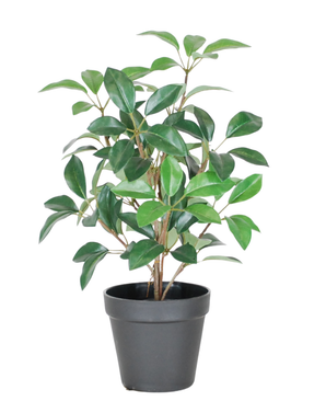 Den kunstige laurbær i potte UV 43 cm er en lille, frodig grøn potteplante med flere stængler og ovale blade, præsenteret i en simpel sort plastikpotte mod en hvid baggrund.