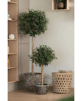 Twee Kunst olijfbomen UV 150 cm in pot met rond groen gebladerte staan naast een gevlochten mand en houten plank in een licht, modern interieur.