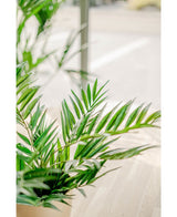Et nærbillede af levende grønne kunstige palmesalon UV 60 cm blade i et solbelyst indvendigt rum med et lyst trægulv og sløret baggrund, der fremhæver skønheden ved denne realistiske kunstige plante.
