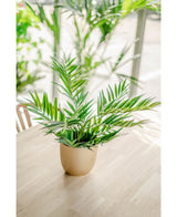 En Artificial Palm Parlor UV 60 cm ligger på et lyst træbord, sollys strømmer ind gennem de store vinduer, mens andre kunstige planter fremstår blødt vage i baggrunden.