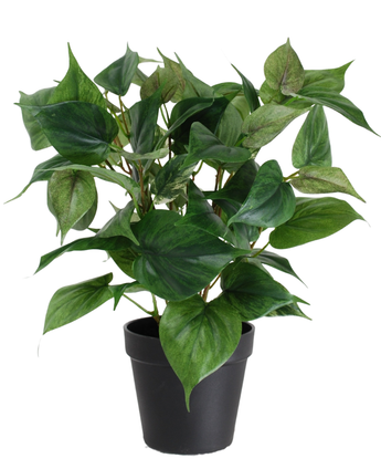 De Kunstplant Philodendron in pot 35 cm heeft een groene kamerplant in pot met hartvormige bladeren in een eenvoudige zwarte plastic pot, geïsoleerd op een witte achtergrond.