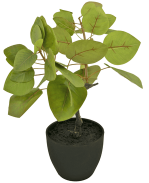 Kunstig Tropica Ficus 12 cm i prydpotte sort