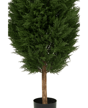 Den kunstige plante nåletræ UV 180cm er et kunstigt grønt træ i en potte med tætte mørkegrønne blade og en brun stamme, præsenteret i en simpel sort potte mod en hvid baggrund.