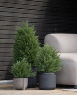 Tre kunstige nåletræer deluxe UV 60 cm kunstige buske står på et træterrasse nær en lysegrå udendørs bænk og en mørk trævæg - perfekt til at skabe en grøn have med kunstige planter udenfor.