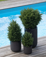 Tre kunstige nåletræer deluxe UV 60 cm i sorte ribbede plantekasser bringer grønt til din træterrasse ved den blå pool - ideel til en grøn have med stilfulde, vejrbestandige kunstige planter udenfor.