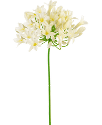 Kunstig blomst Agapanthus 75 cm hvid