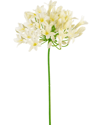 Kunstig blomst Agapanthus 75 cm hvid