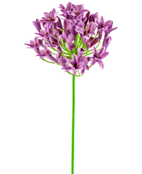 Kunstig blomst Agapanthus 75 cm lilla