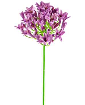 Kunstig blomst Agapanthus 75 cm lilla