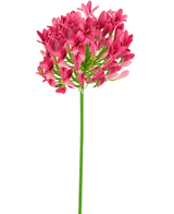 Kunstig blomst Agapanthus 75 cm pink