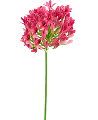 Kunstig blomst Agapanthus 75 cm pink