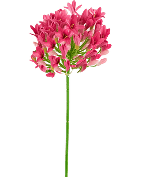 Kunstig blomst Agapanthus 75 cm pink