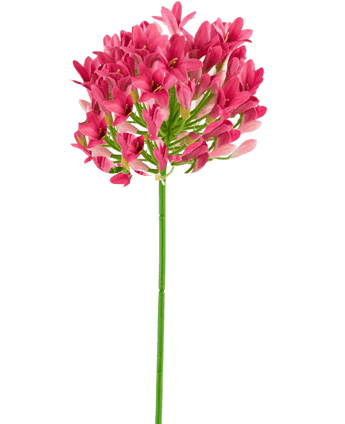 Kunstig blomst Agapanthus 75 cm pink