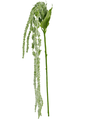 Kunstig blomst Amaranthus 122 cm grøn