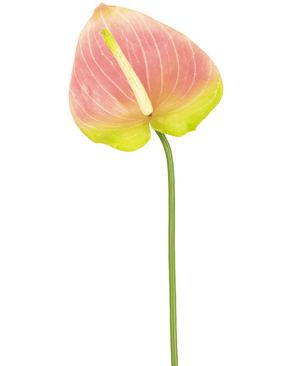 Kunstig blomst Anthurium 65 cm grøn/pink