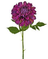 Kunstig blomst Dahlia 50 cm lilla