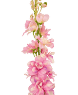 Kunstig blomst Delphinium 79 cm pink