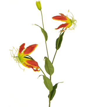 Kunstig blomst Gloriosa 81 cm rød/gul