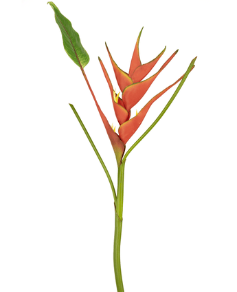 Kunstig blomst Heliconia 90 cm rød