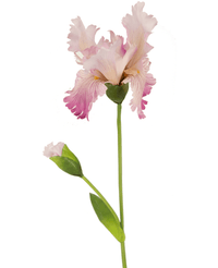 Kunstig blomst Iris 80 cm pink