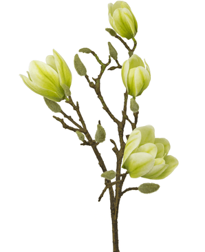 Kunstig blomst Magnolia 50 cm hvid/grøn