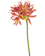 Kunstig blomst Nerine 70 cm fuchsia