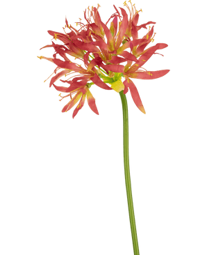 Kunstig blomst Nerine 70 cm fuchsia