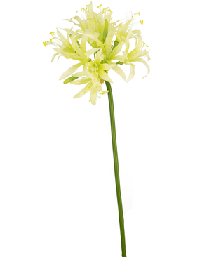 Kunstig blomst Nerine 70 cm grøn