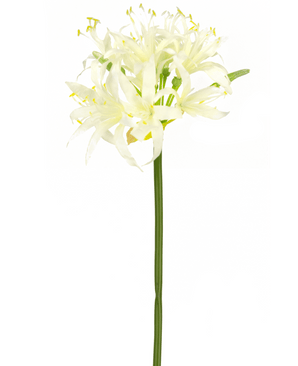 Kunstig blomst Nerine 70 cm hvid