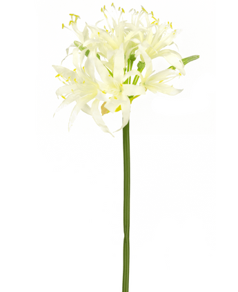 Kunstig blomst Nerine 70 cm hvid