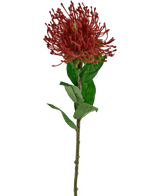 Kunstig blomst Protea 73 cm rød