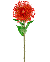 Kunstig blomst Protea 73 cm rød