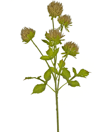 Kunstig blomst Tidsel 66 cm brun