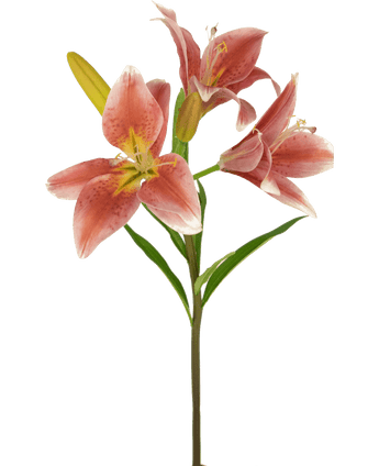 Kunstig blomst asiatisk lilje 66 cm gammelrosa